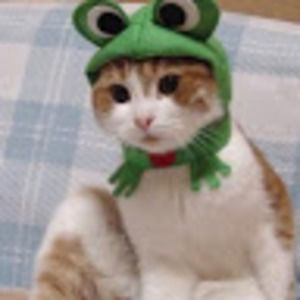 Meet your Posher, Annaliese